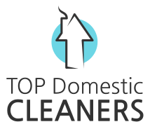 TopDomesticCleaners Logo250px